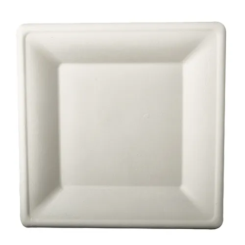 12 piatti di canna da zucchero bianco Aida 26 x 26 cm