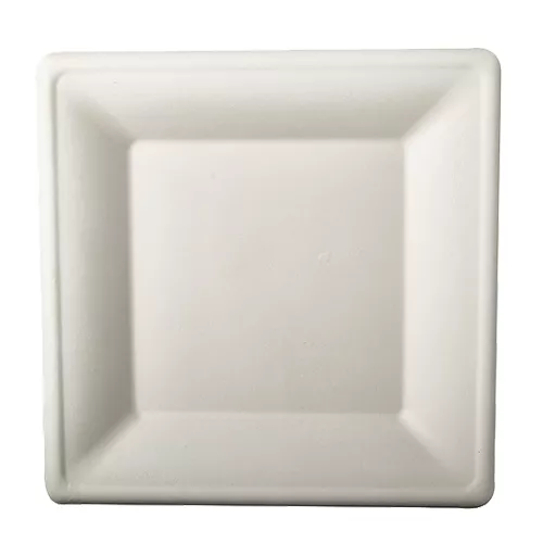 12 piatti di canna da zucchero bianco Aida 26 x 26 cm