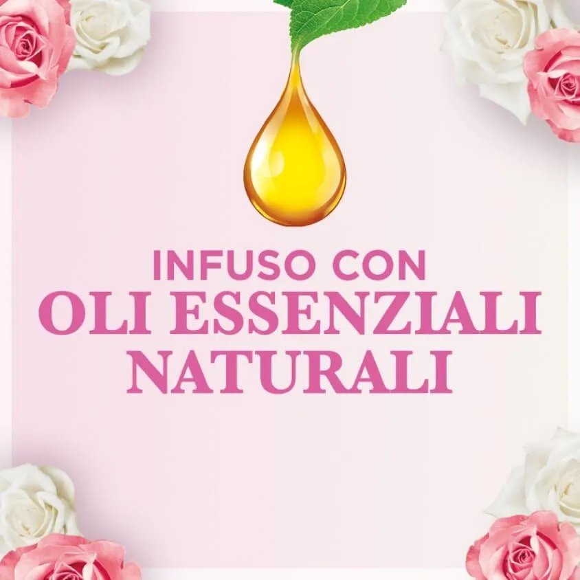 Airwick Armonia Istantanea, Confezione con kit completo Gadget 1 Diffusore di Oli Essenziali + 1 Ricarica alla Fragranza di Peta