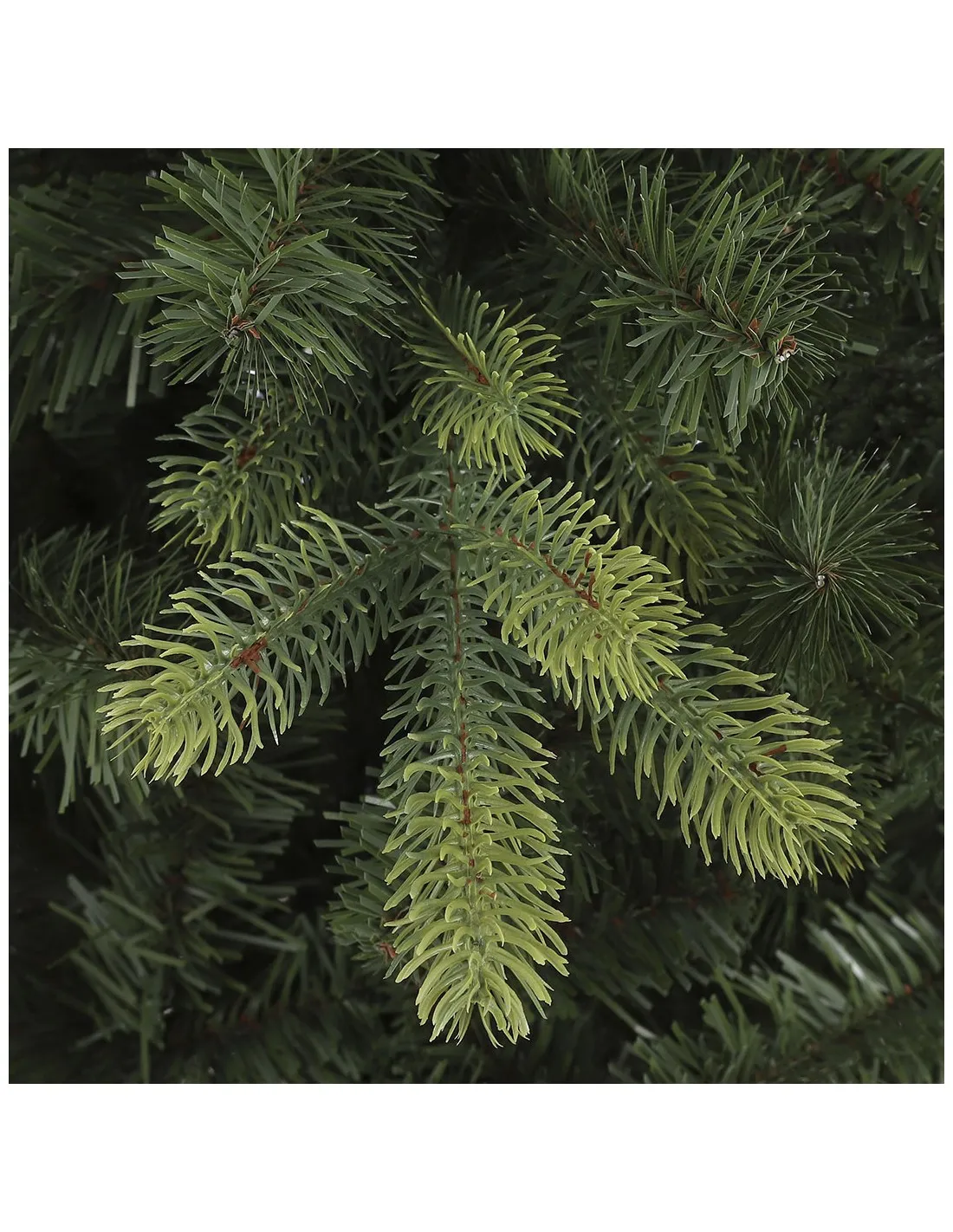 Albero di Natale Black Box Trees Pino Verde (185 cm)