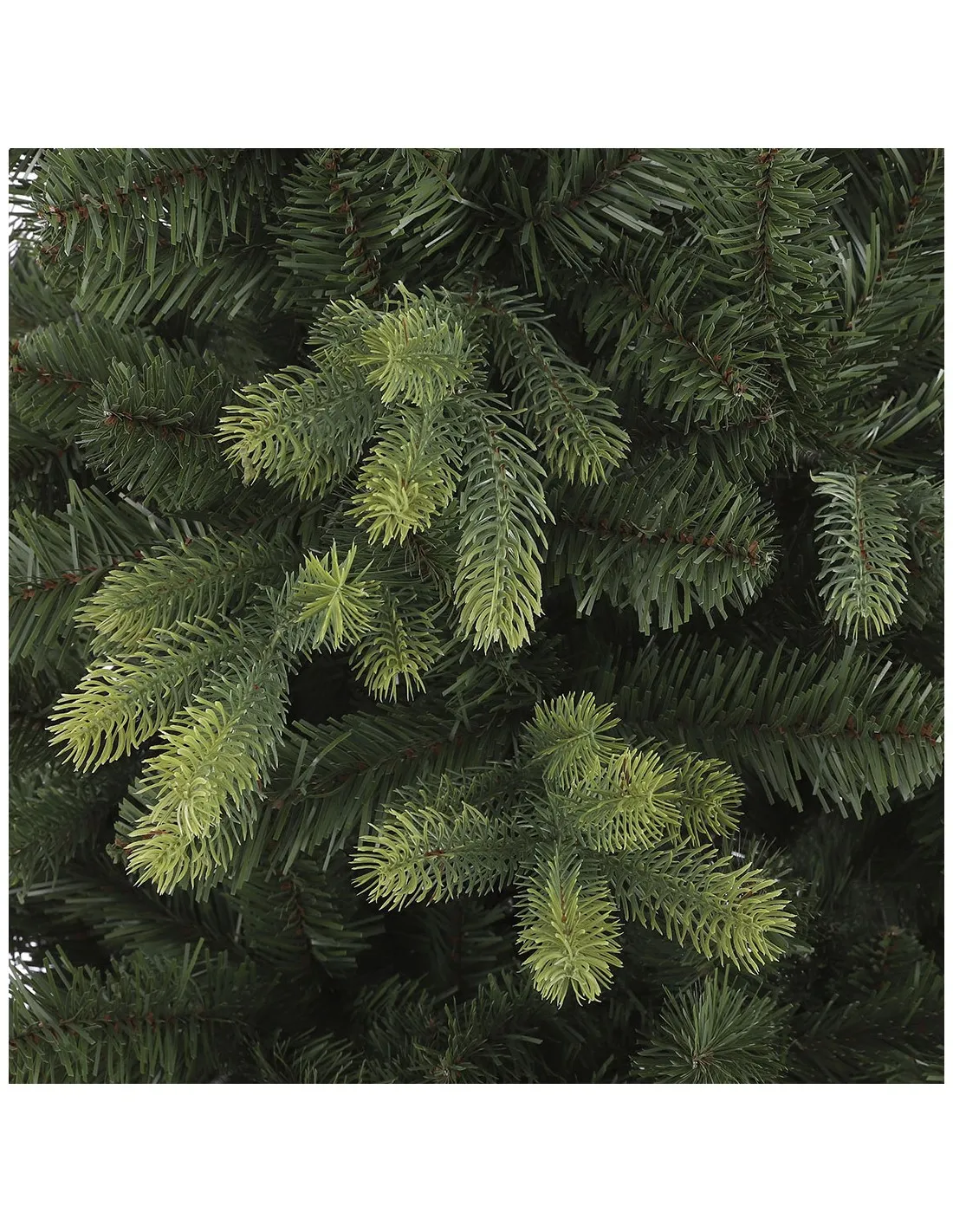 Albero di Natale Black Box Trees Pino Verde (185 cm)