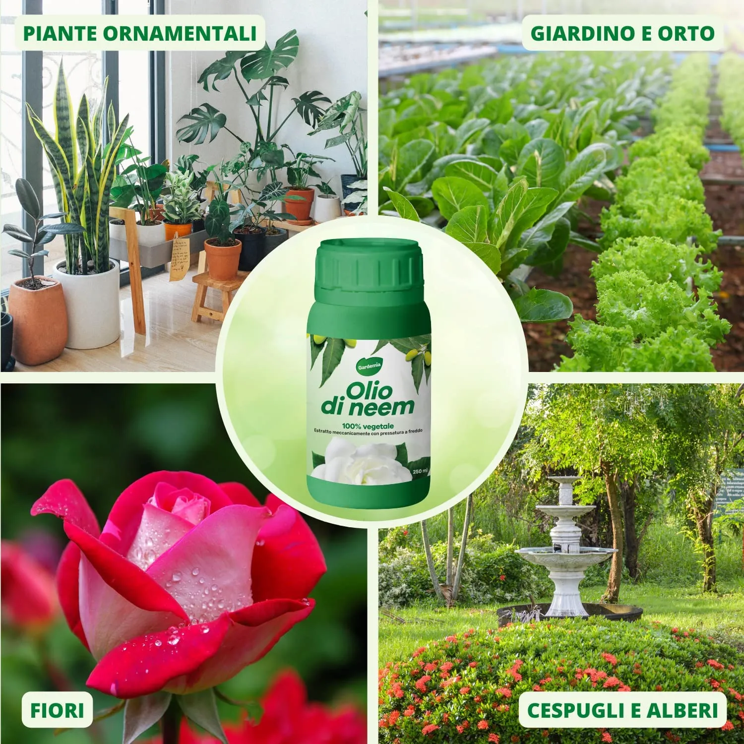 Gardemia Olio di Neem per Piante 100% Vegetale Repellente Naturale Contro Afidi, Cocciniglia, Ragnetto Rosso, Zanzare, Cimici, I