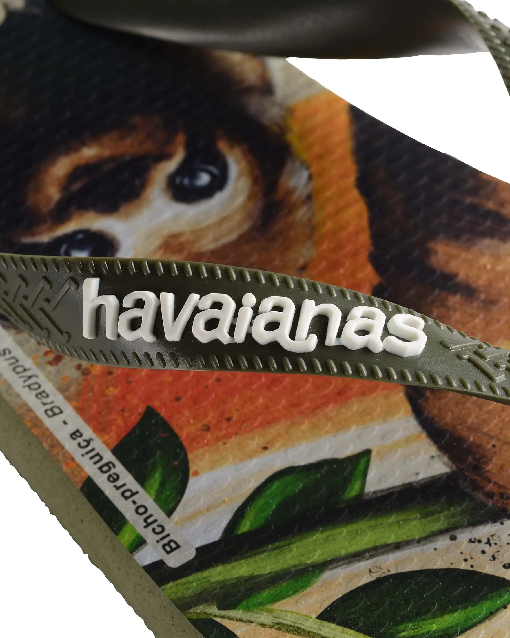 Havaianas Ipe con fascetta verde militare e logo bianco