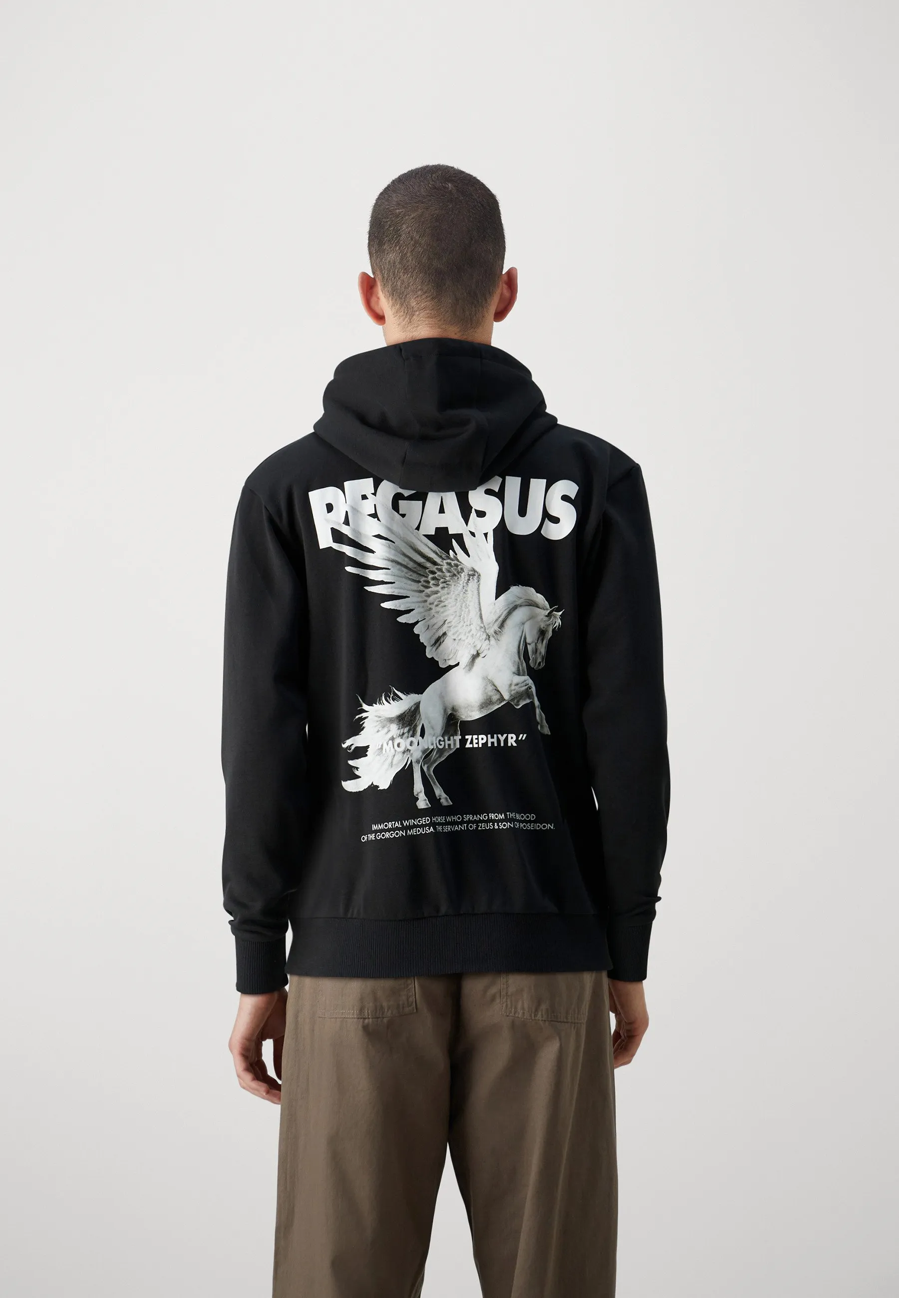 JORZEPHYR ZIP HOOD UNISEX - Felpa con zip