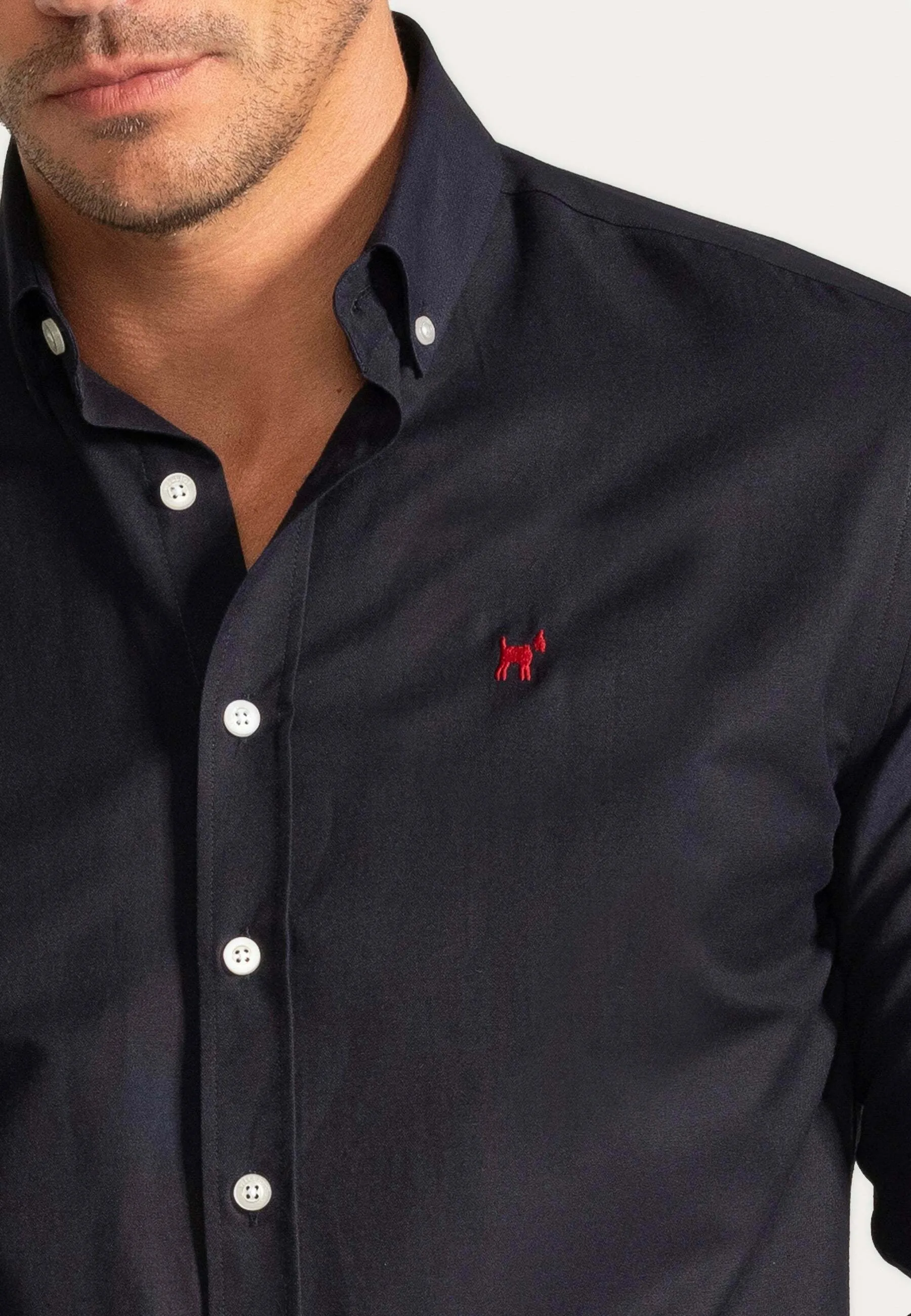 PACK OF 2 - REGULAR FIT OXFORD - Camicia