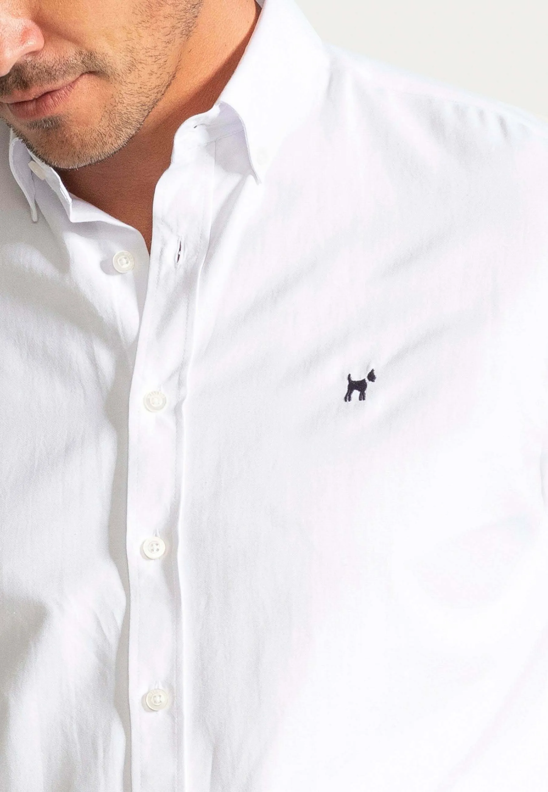 PACK OF 2 - REGULAR FIT OXFORD - Camicia