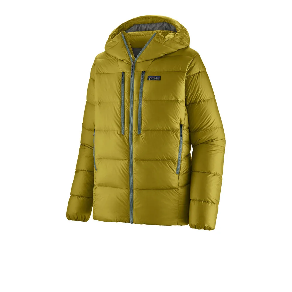 Patagonia Fitz Roy Piumino con cappuccio - AW23