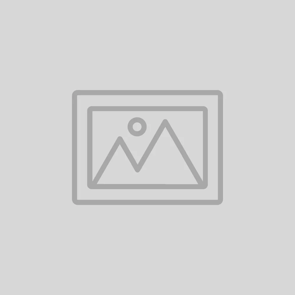 Patagonia Performance Twill Jeans - Regolari