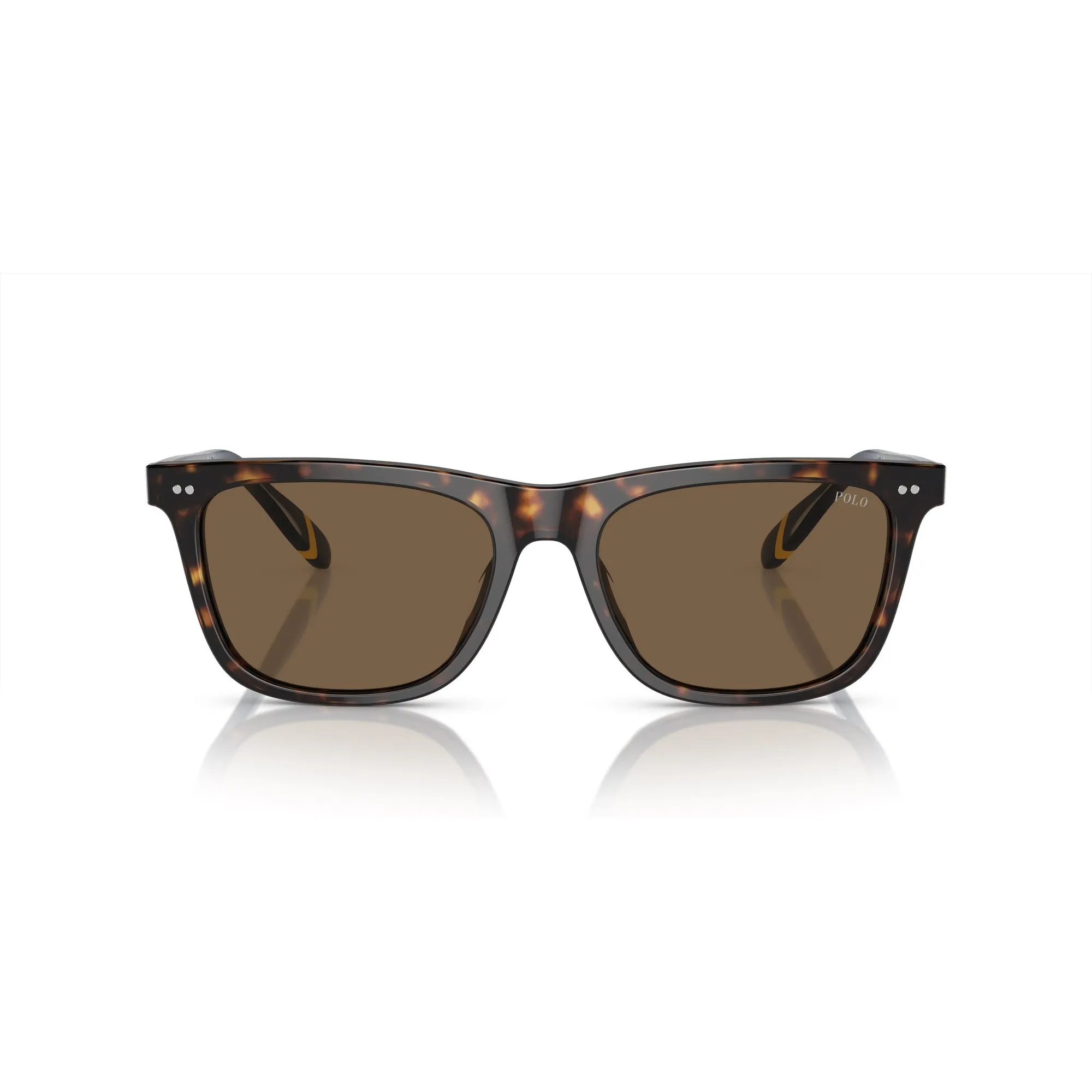   Polo PH 4205U - 500373 Avana Scuro Lucido | Occhiale Da Sole Uomo 