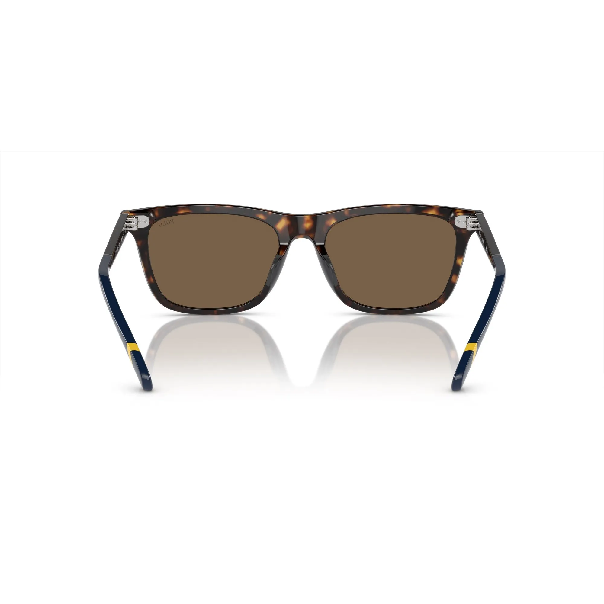   Polo PH 4205U - 500373 Avana Scuro Lucido | Occhiale Da Sole Uomo 