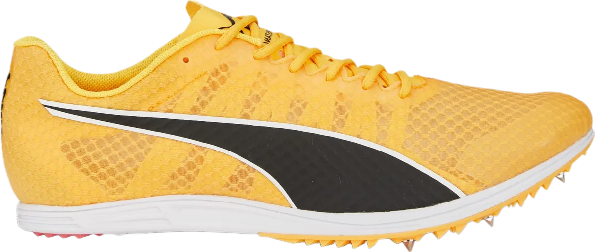 Scarpe da atletica Puma evoSPEED Distance 11