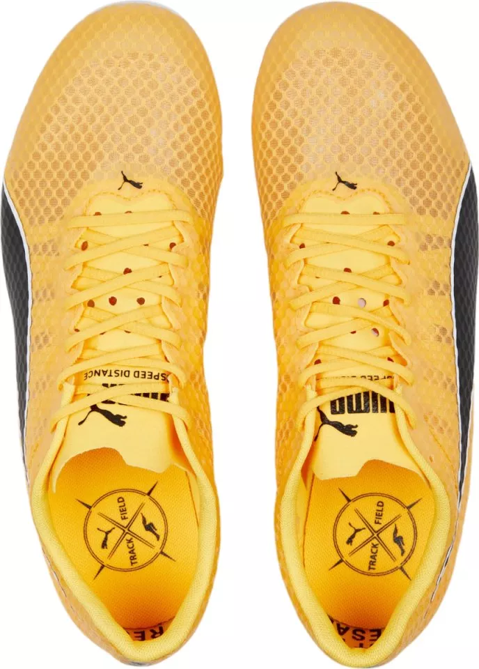 Scarpe da atletica Puma evoSPEED Distance 11