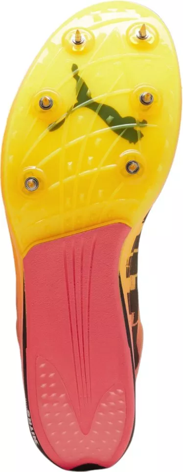 Scarpe da atletica Puma evoSPEED Long Distance NITRO Elite 2