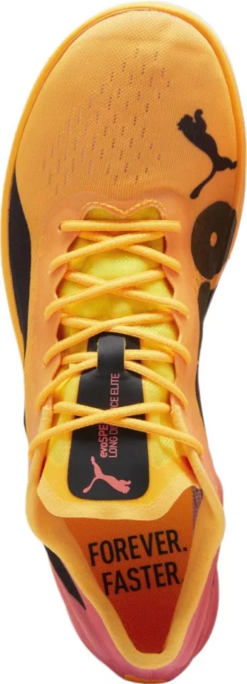 Scarpe da atletica Puma evoSPEED Long Distance NITRO Elite 2