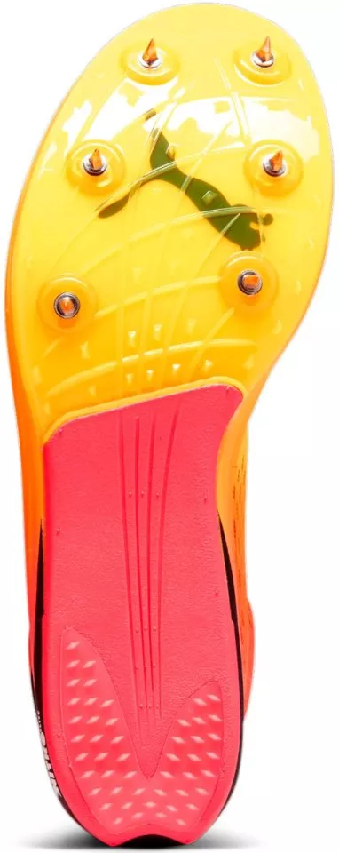 Scarpe da atletica Puma evoSPEED Long Distance Nitro Elite+