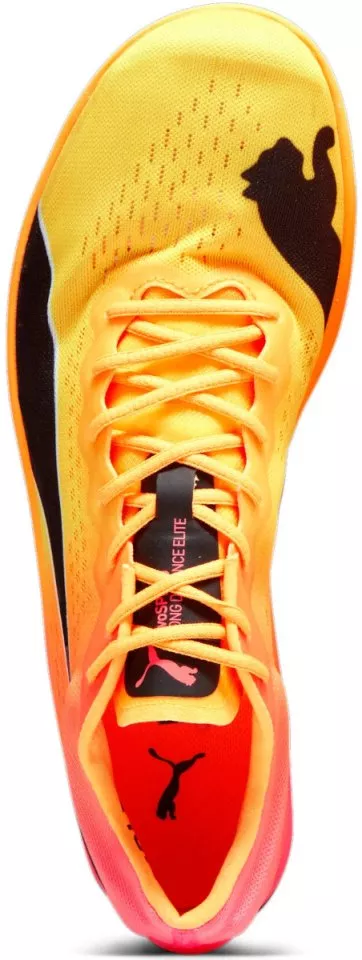 Scarpe da atletica Puma evoSPEED Long Distance Nitro Elite+