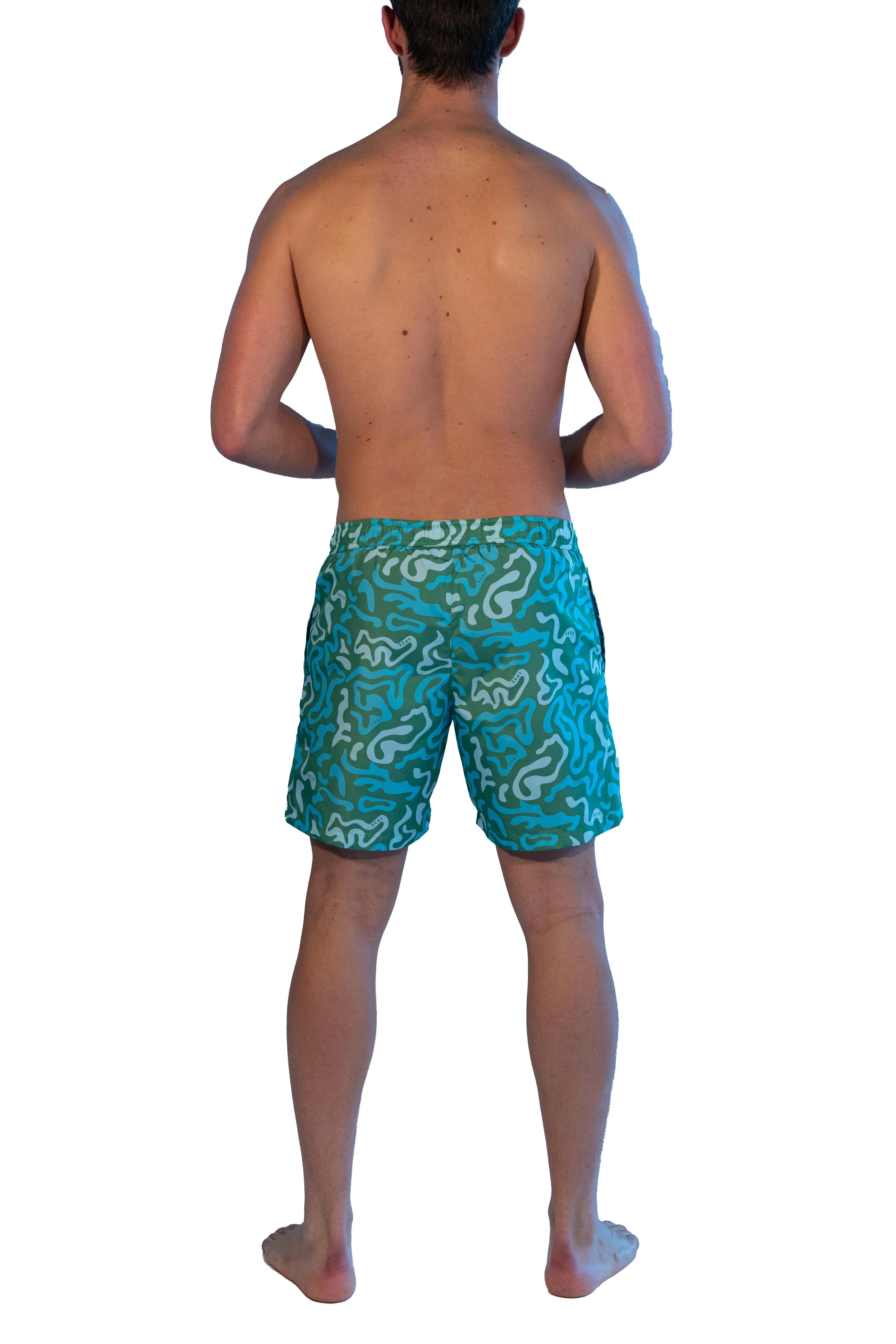 Seay  ---------    ------------Boxer Mare Medio Verde Coral